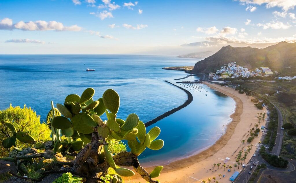 beach and ocean