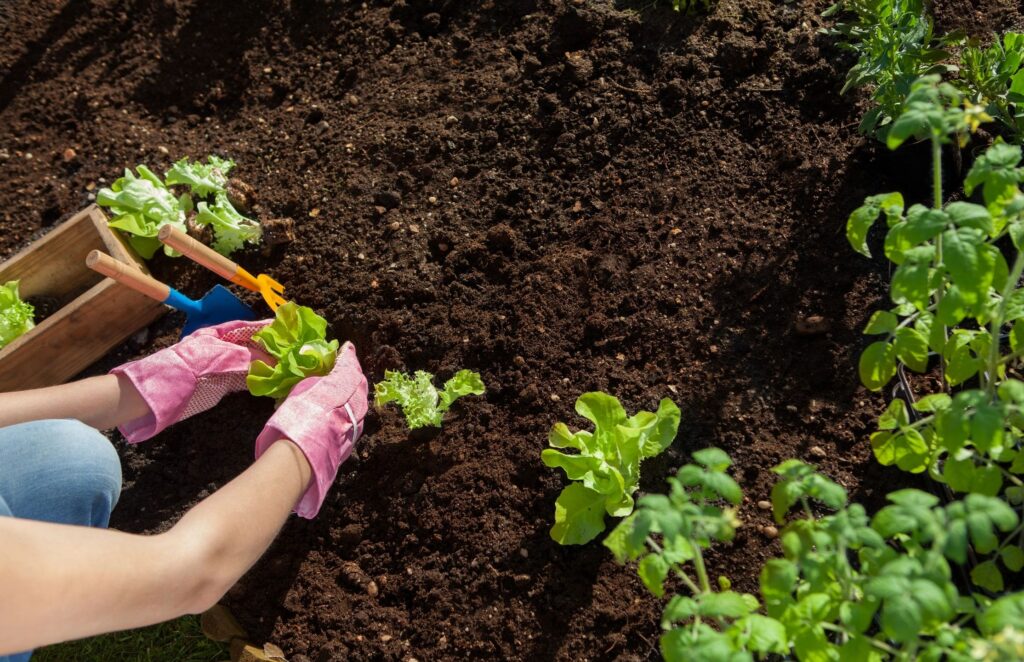 gardening